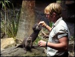 Otter feeding