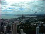 Look closely - sky diver falling off of Sky Tower