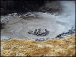 Bubbling mud pool