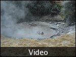 Video of the bubbling mud pool