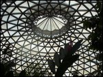 Dome at Botanical Gardens