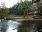 Pond at Botanical Gardens