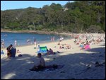 Noosa Beach