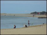 Pelicans mooching off fisherman