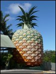 The Big Pineapple!