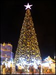 Brisbane city Christmas tree