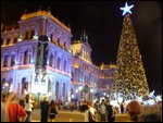 Brisbane Downtown Christmas