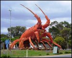 The 'BIG' Lobster in Kingston