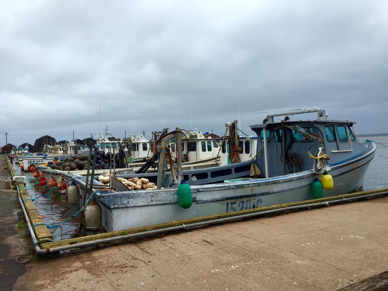 More fishing boats lined up