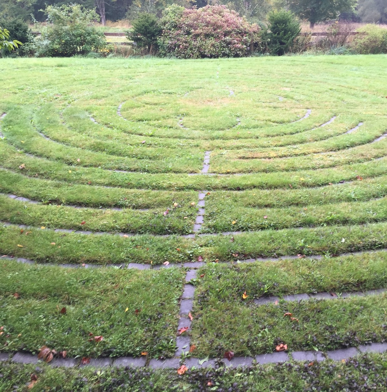 A maze, without walls - inconceivable!