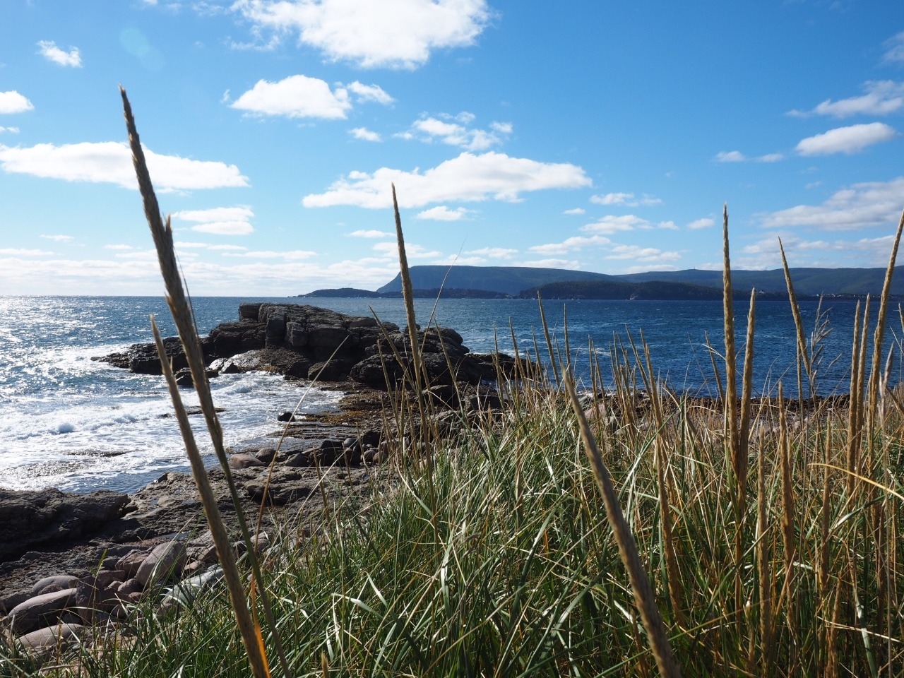 Cabot Trail vista