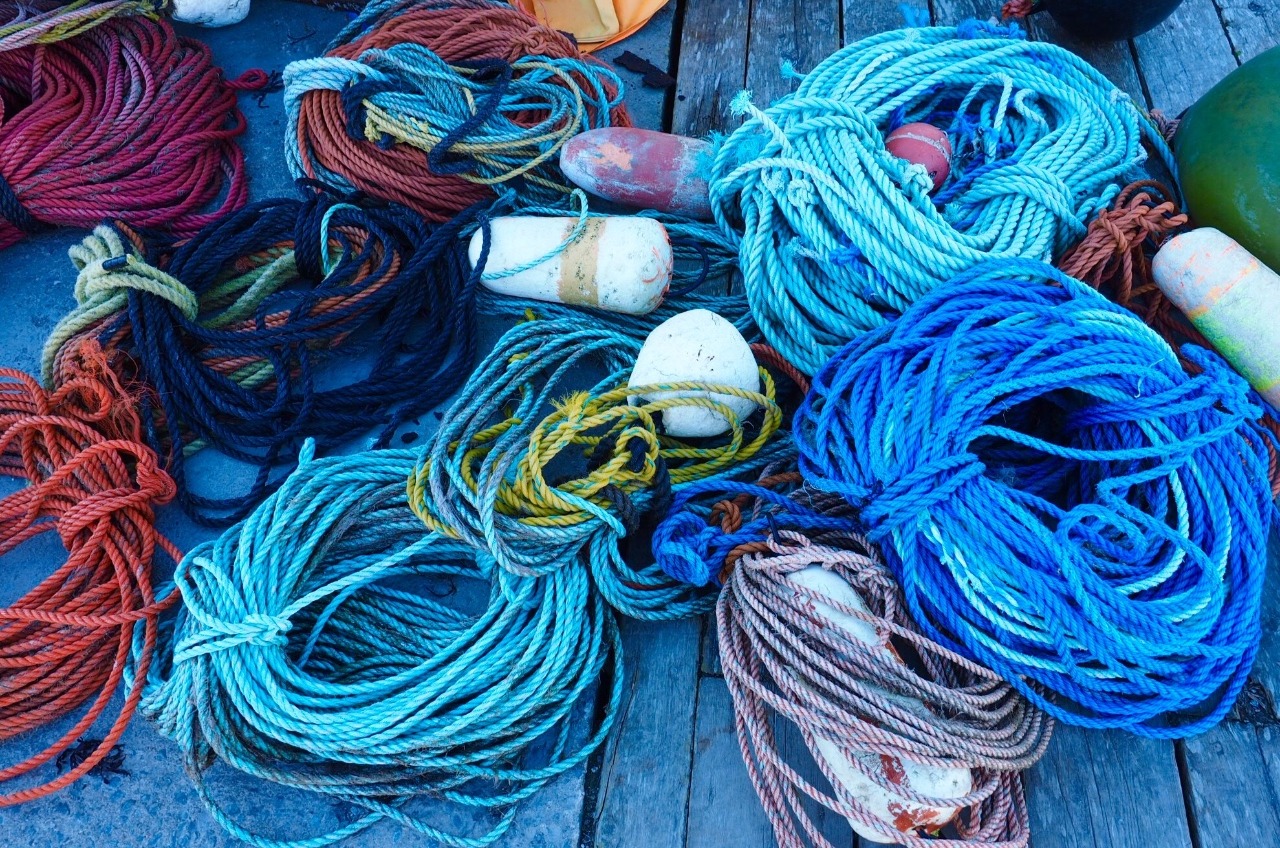 Colourful boat ropes