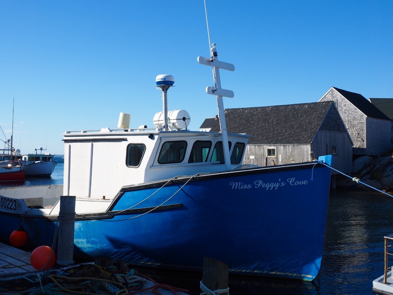 Miss Peggy's Cove