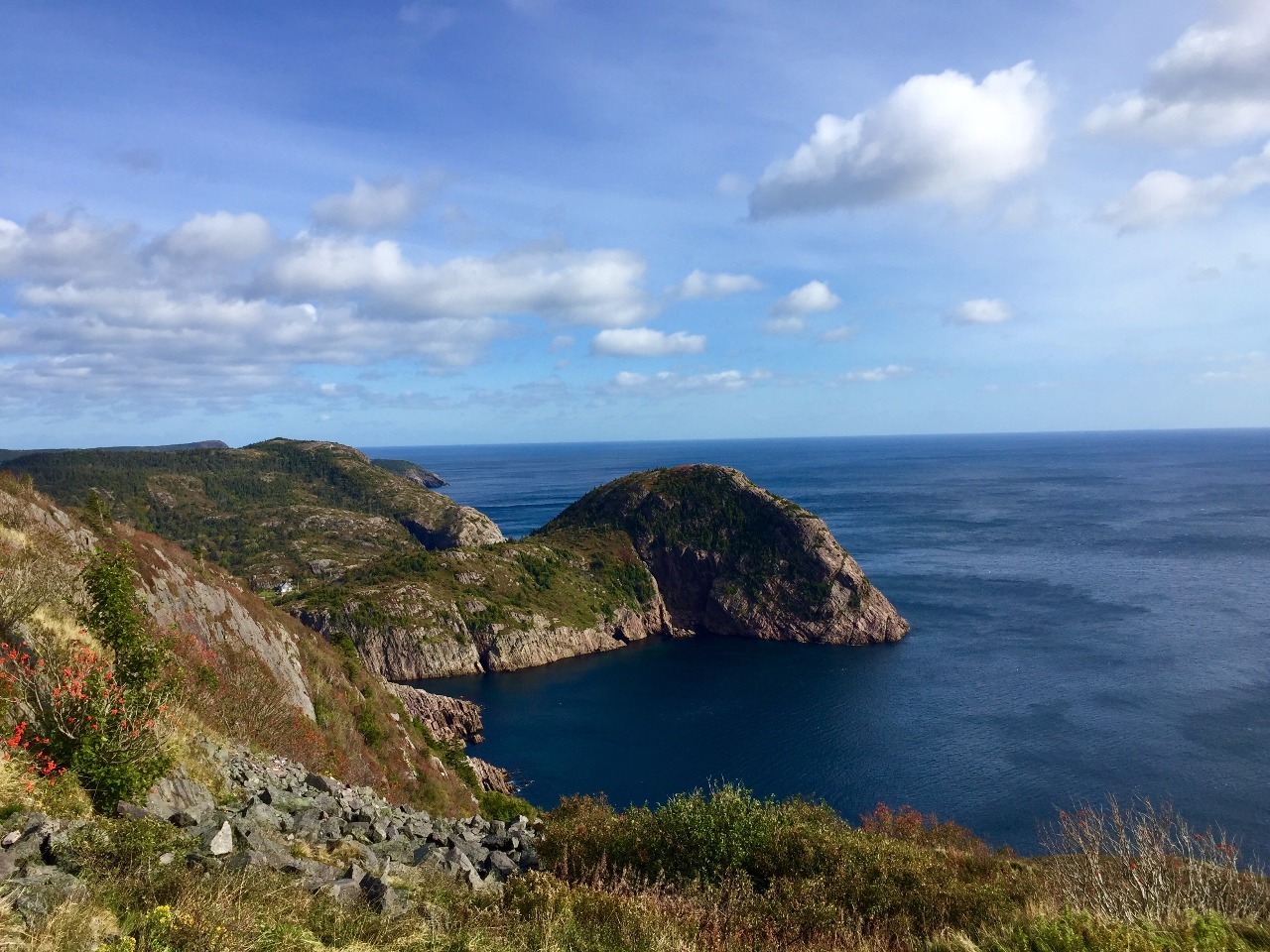 Signal Hill view