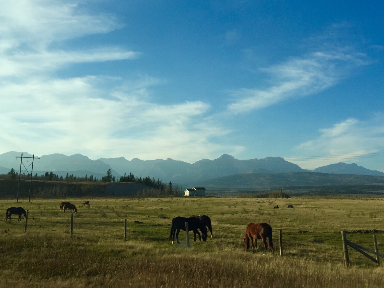 Mountains in the distance