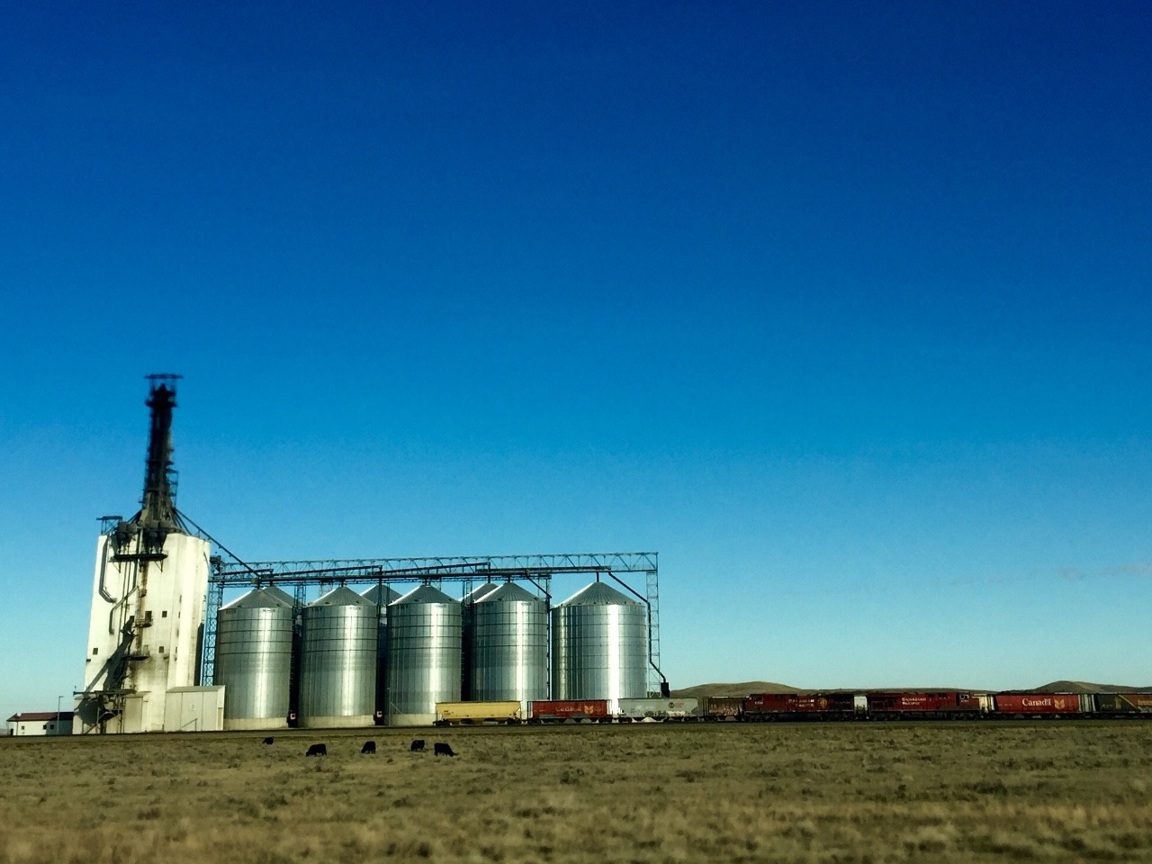 Train being loaded with grain