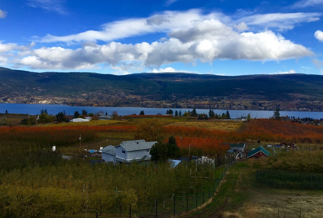 Pleasant skies in the Okanagan Valley