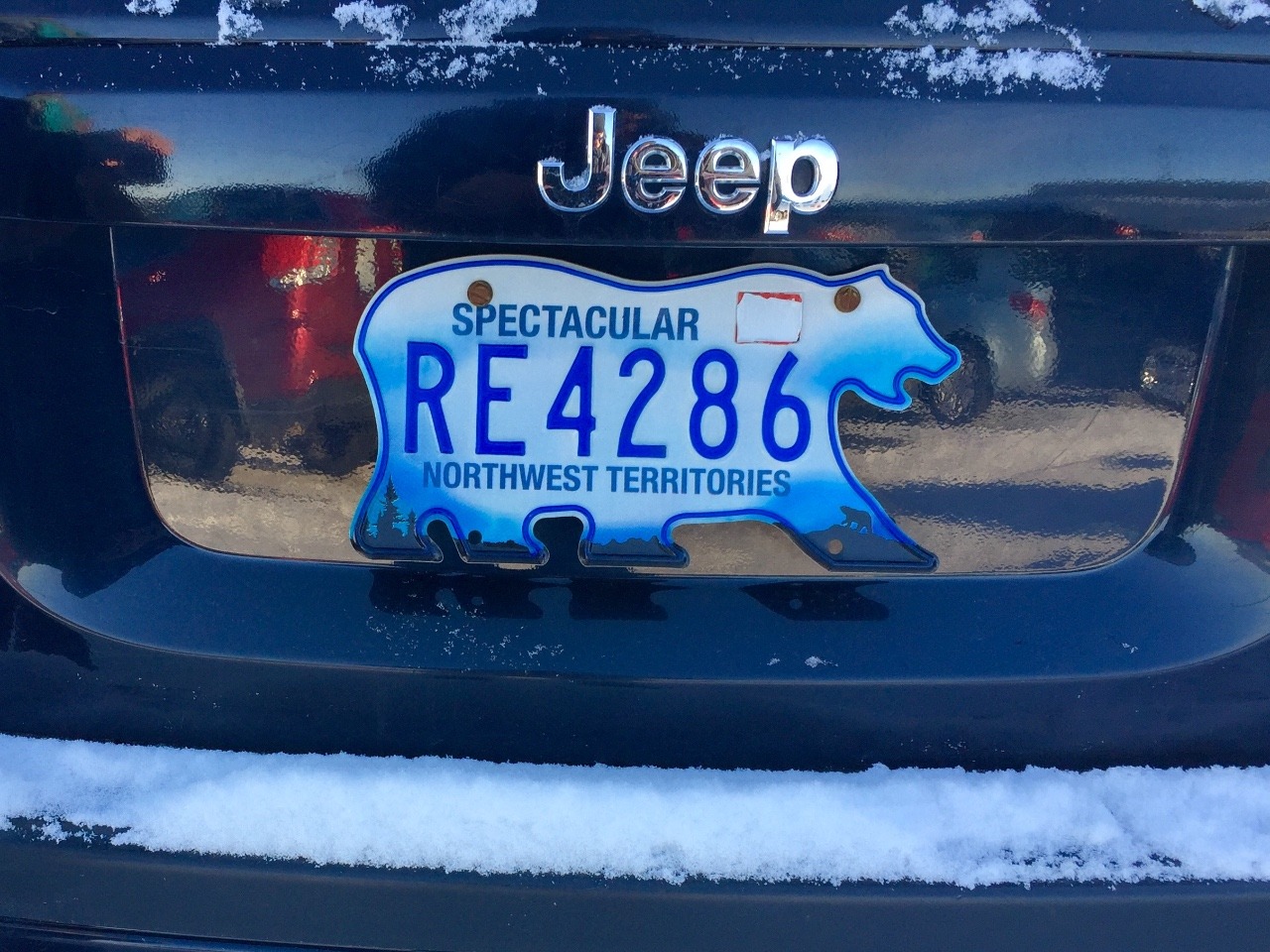 Polar Bear on License Plate - Welcome to YK!