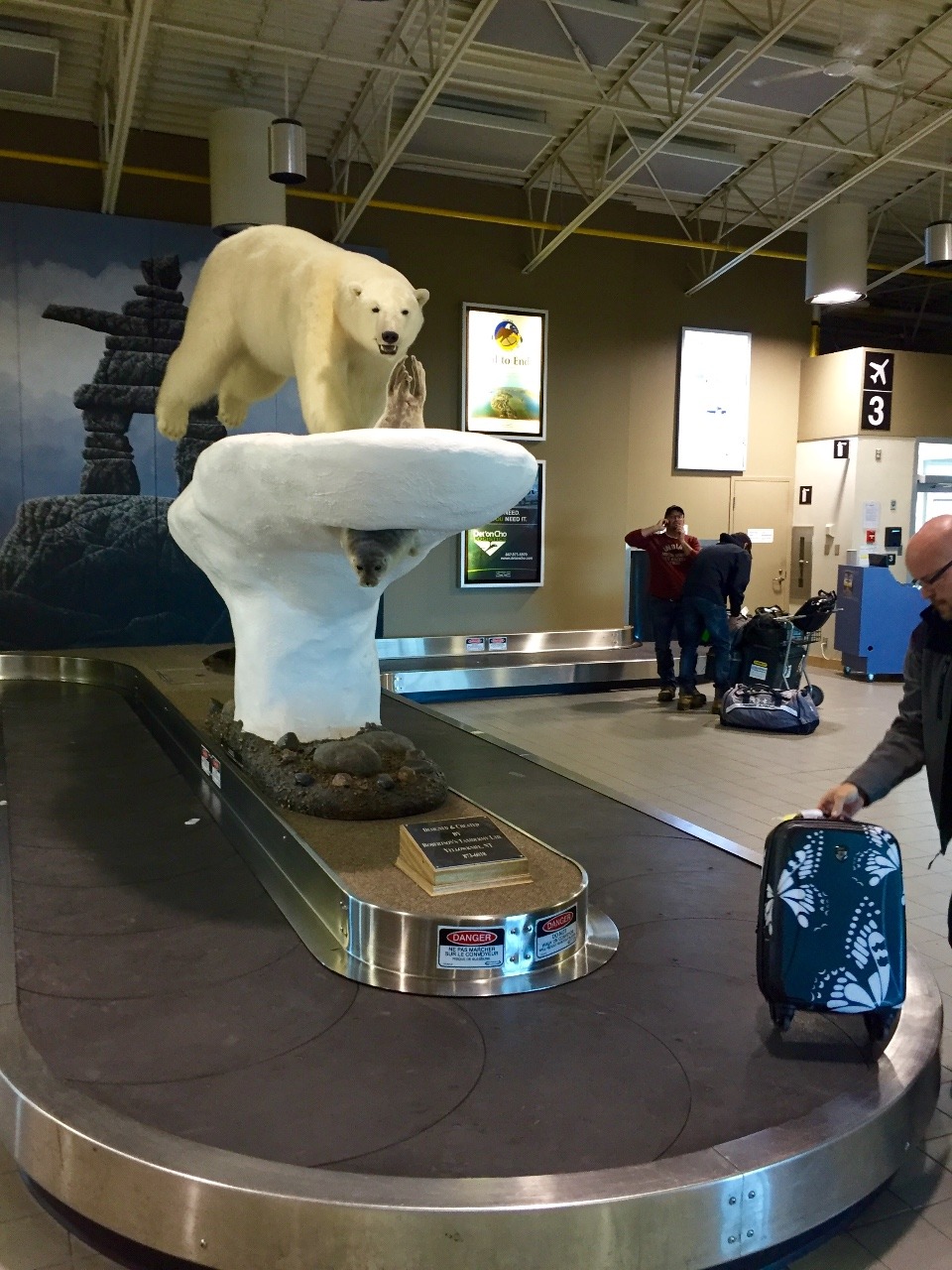 Polar Bear on Luggage Carousel - Welcome to YK!