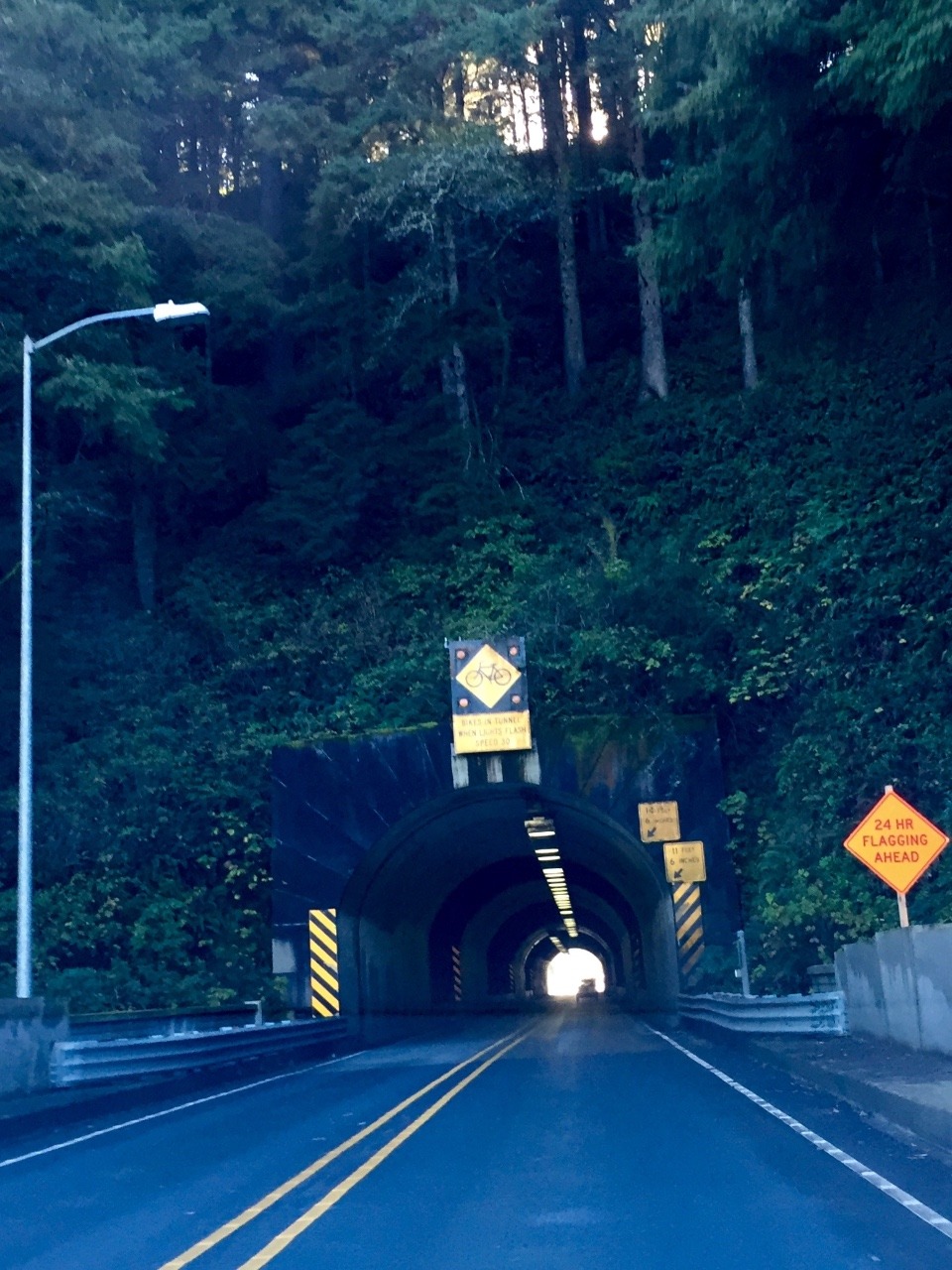 a tunnel through the trees