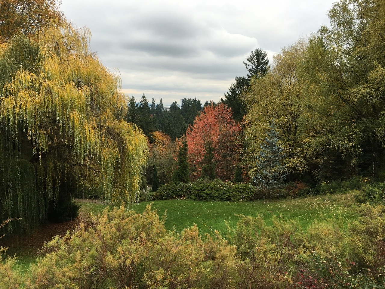 A Beautiful Portland garden