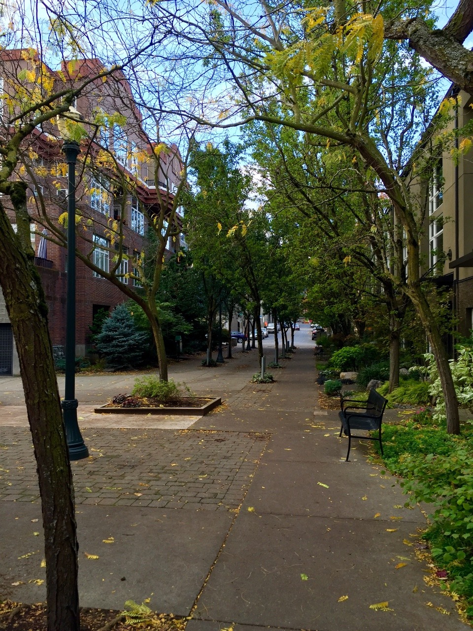 More trees and shrubs in this very verdant city