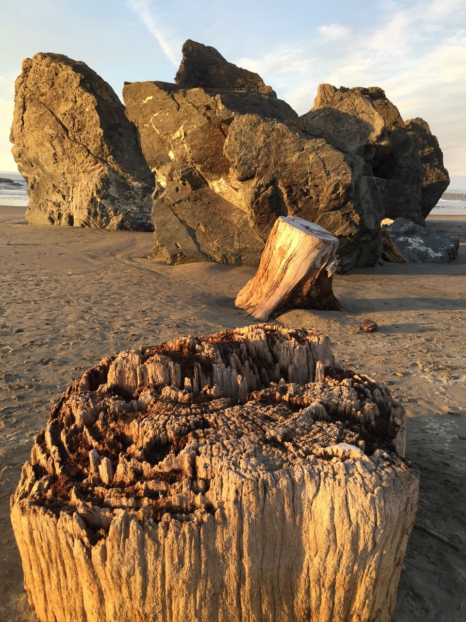 Wood, Sand, Rock and Water in Bandon, OR