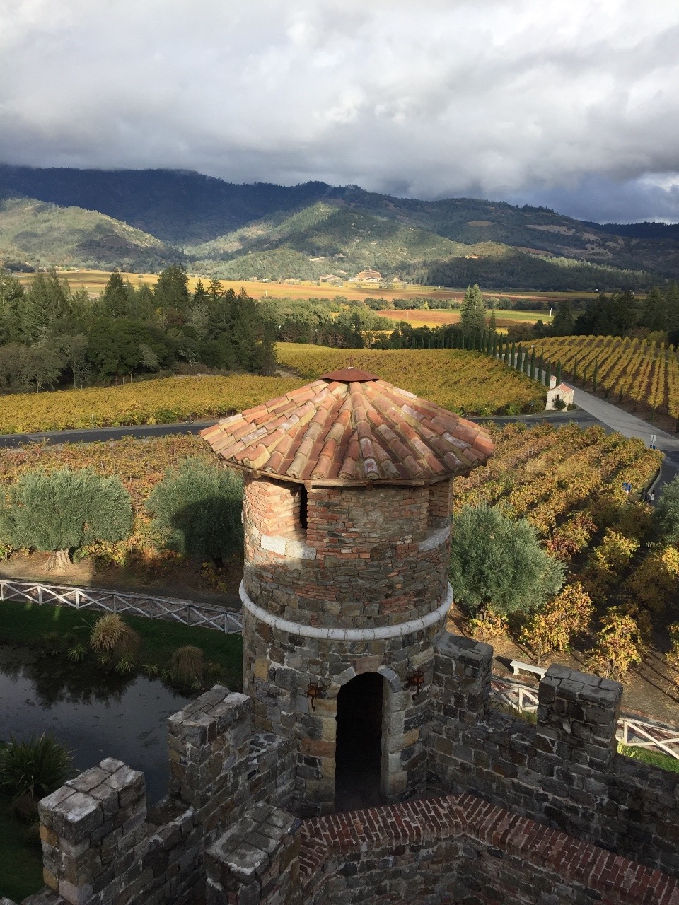 Views from Castello di Amorosa