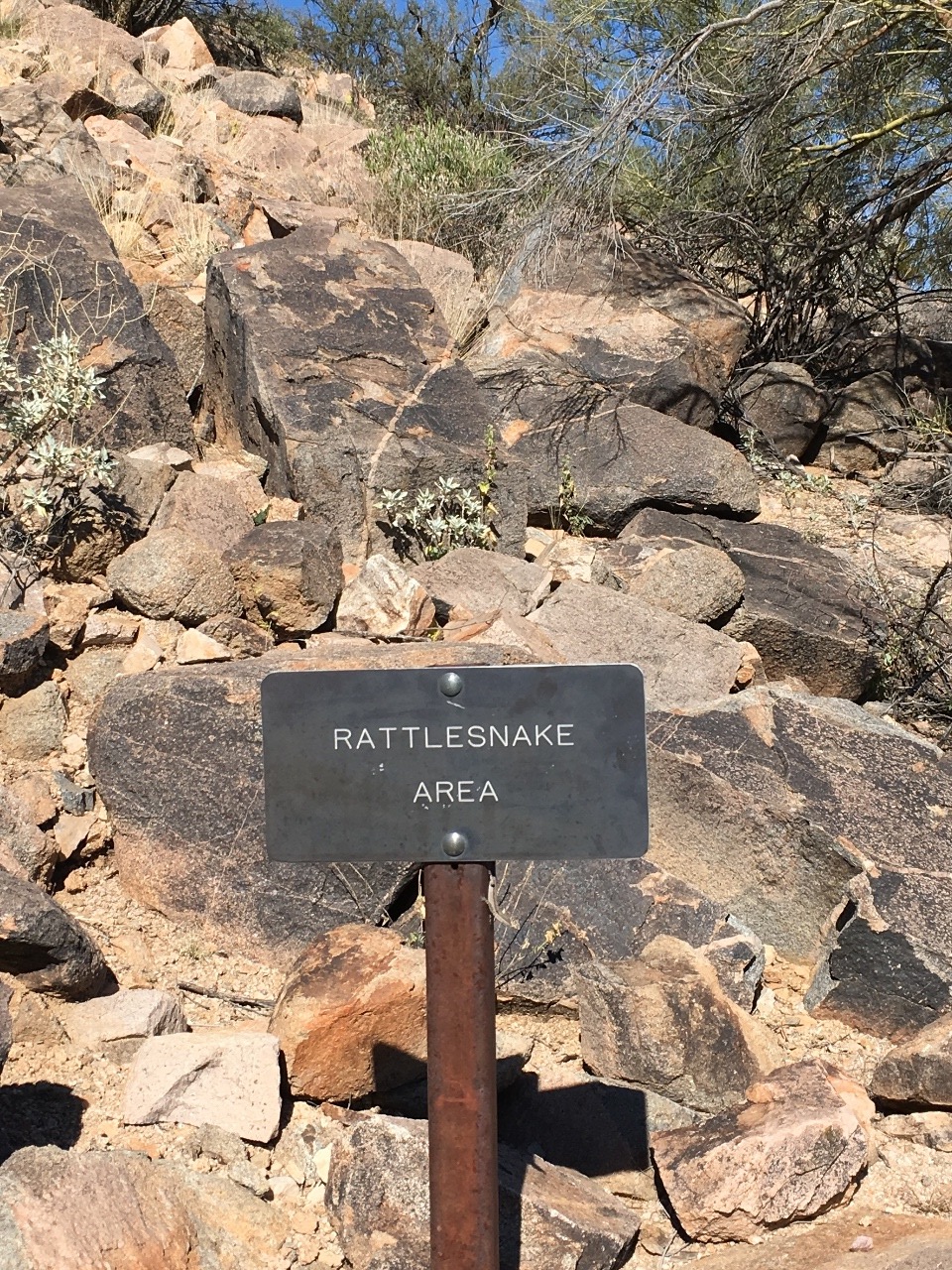 Beware of Rattlesnakes!