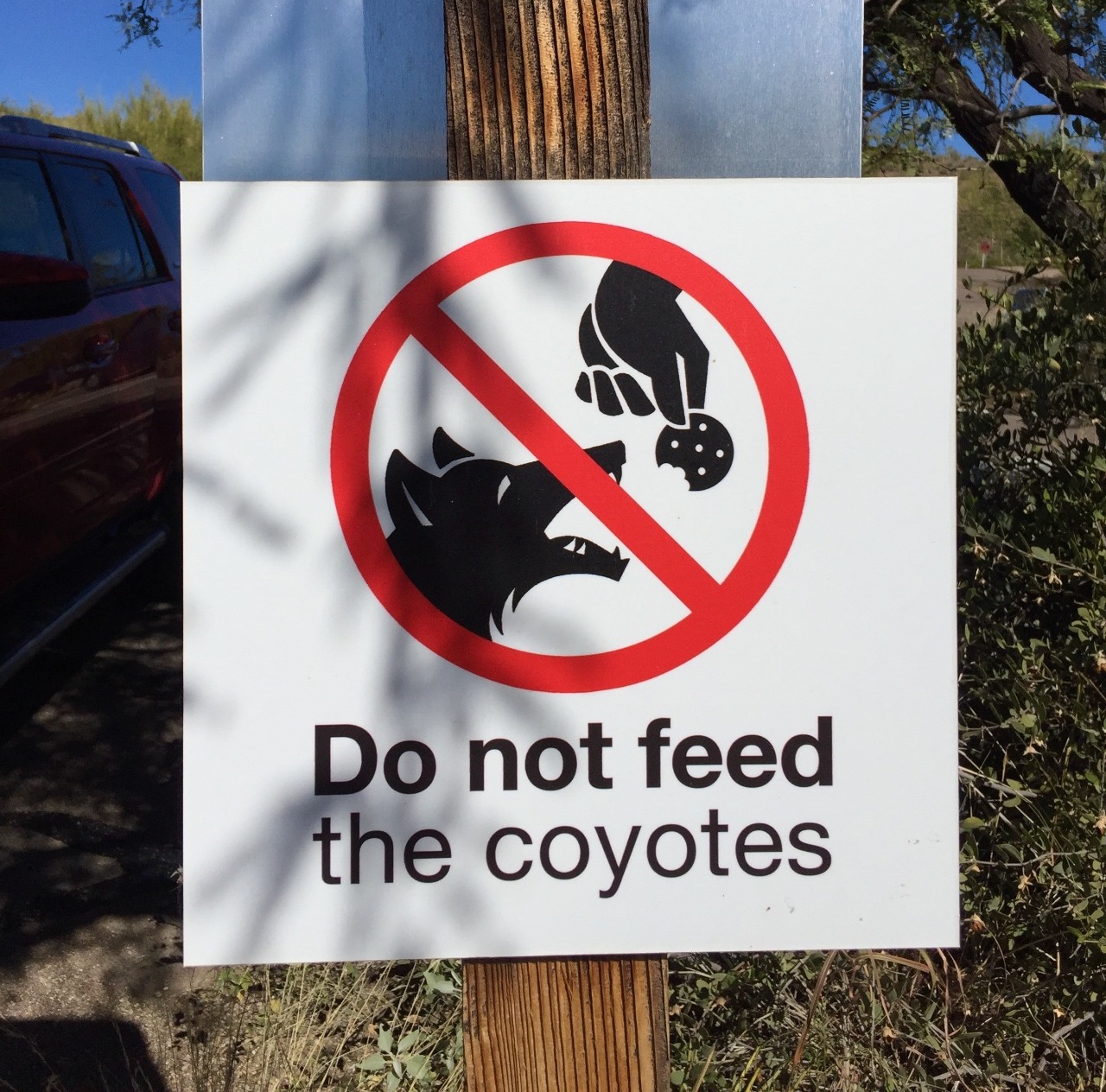 Do no feed the coyotes