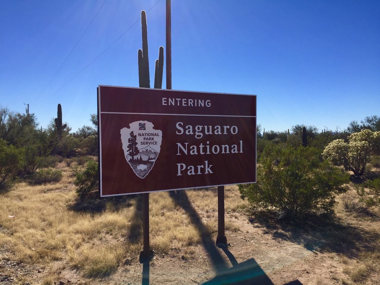 Saguaro National Park