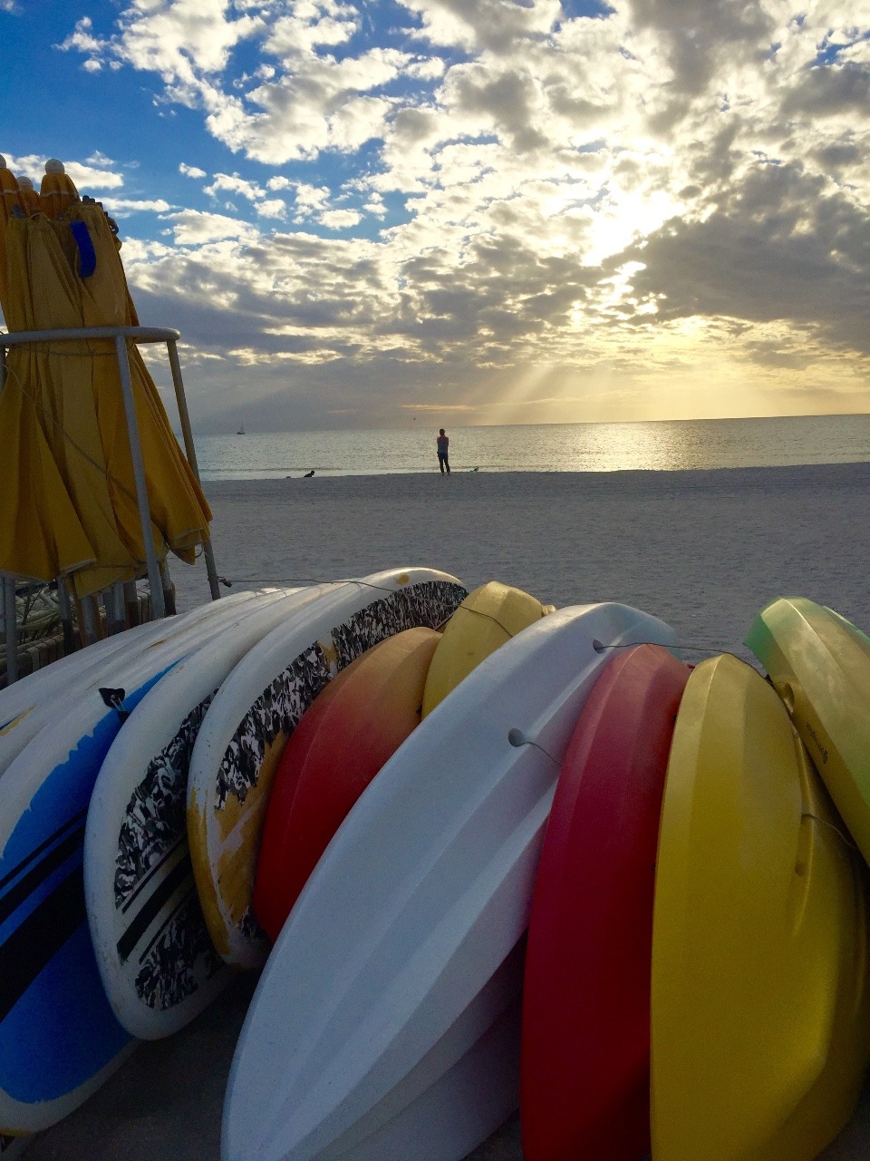 Sand and Surf Boards