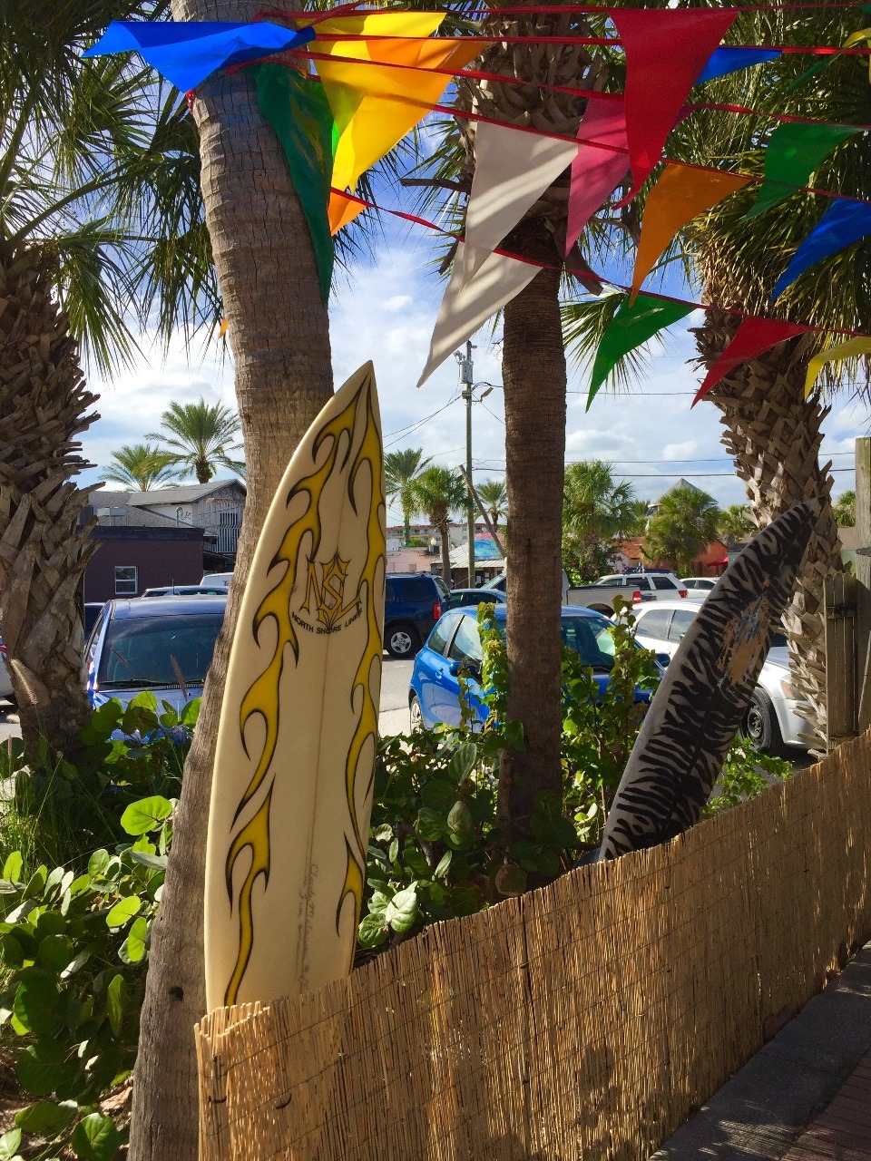 Surf Boards and Palm Trees