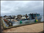 More fishing boats lined up