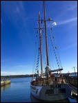 Tall ship in Halifax Harbour