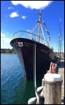 Tall Ship in Lunenburg Harbour 