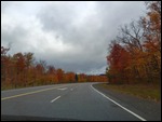 Autumn colours in Southern Ontario