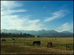 Mountains in the distance