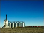 Train being loaded with grain