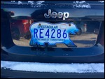 Polar Bear on License Plate - Welcome to YK!