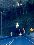 a tunnel through the trees