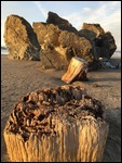 Wood, Sand, Rock and Water in Bandon, OR