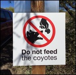 Do no feed the coyotes