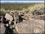 Petroglyphs overlooking Saguaro forest