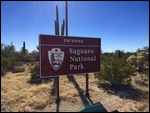 Saguaro National Park