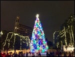 Christmas Tree in front of the Alamo - San Antonio